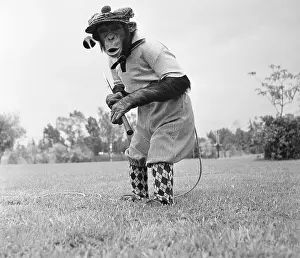 Outfit Prints: Bonzo the Chimp Playing Golf
