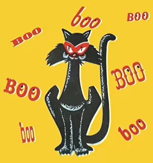 Images Dated 20th March 2015: Boo black cat