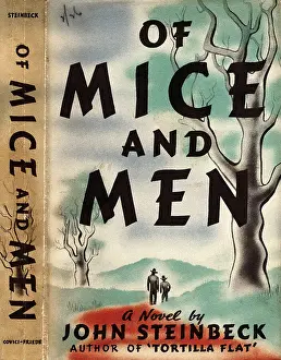 Book Cover for Steinbeck's Of Mice and Men