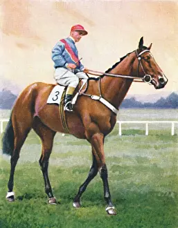 Racetrack Prints: Bookseller