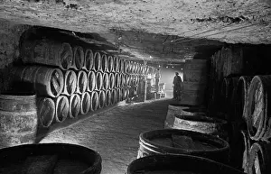 Brewing And Winemaking Prints: Bordeaux Cellar