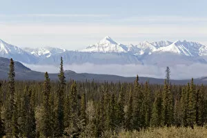 Sceneries Collection: Boreal forest, St. Elias Mountains, Kluane National Park and Reserve, from Alaska Highway