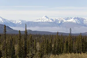Chains Collection: Boreal forest, St. Elias Mountains, Kluane National Park and Reserve, from Alaska Highway