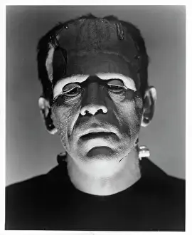Lac0038 Prints: Boris Karloff In Frankenstein