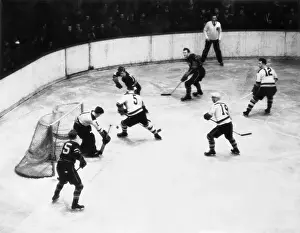 Ice Rink Prints: Boston Bruins Win Stanley Cup
