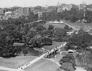 Fox Photo Library Collection: Boston Gardens