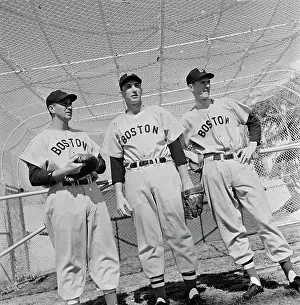 Sportswear Prints: Boston Red Sox