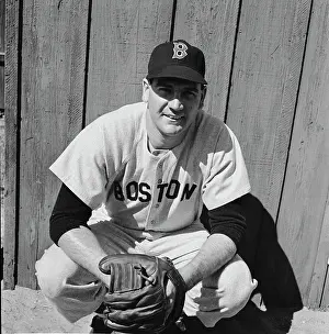 Sportswear Prints: Boston Red Sox