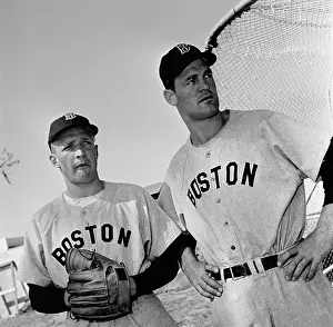 Sportswear Prints: Boston Red Sox