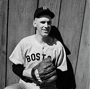 Sportswear Prints: Boston Red Sox