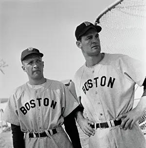 Sportswear Prints: Boston Red Sox