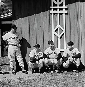 Sportswear Prints: Boston Red Sox