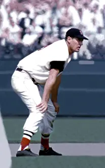 Ted Williams Prints: Boston Red Sox
