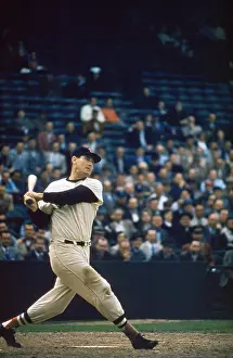 Ted Williams Prints: Boston Red Sox