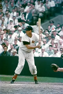 Ted Williams Prints: Boston Red Sox