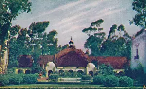 1930s Prints: The Botanical Building C1935