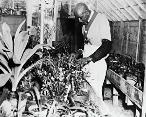 Botanist George Washington Carver in Arboretum