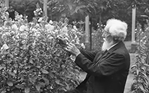 Botanist Hugh De Vries