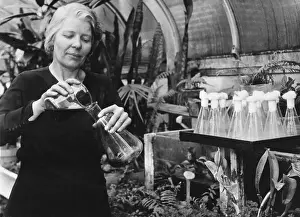 Illinois Prints: Botanist Working on Plant Life in Laboratory