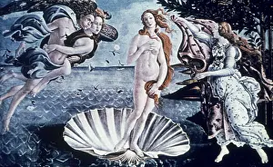 Prints of Birth of Venus, by Italian painter Sandro Botticelli (1446 - 1510). c. 1485. (Photo by Frederic Lewis/Getty Images) Urban Echoes of America’s Golden Age: Botticelli's Birth of Venus