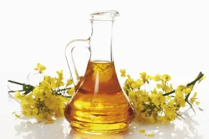 Canola Prints: Bottle of fresh canola oil with rapeseed flowers