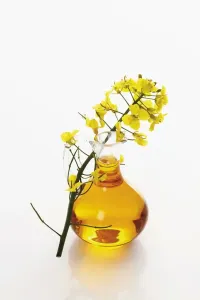 Canola Prints: Bottle of fresh canola oil with rapeseed flowers