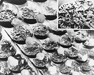 Mold Prints: Bottles Of Penicillin Culture