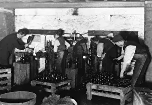 Department Prints: Bottling Department