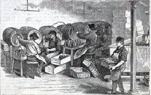 Bottling Lager In A Beer Factory