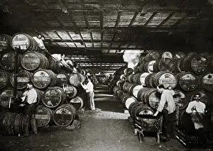 Prints of Workers bottling wine from casks in a large cellar in the Midi region of France, circa 1920. (Photo by Frederic Lewis/Archive Photos/Getty Images) Urban Echoes of America’s Golden Age: Bottling Wine