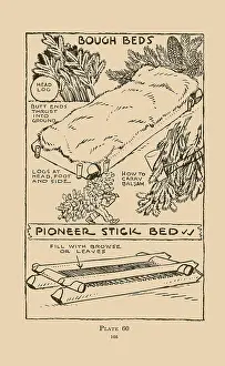 Branches Prints: Bough Beds