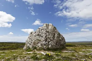 Eire Prints: Boulder, Burren, County Clare, Ireland, Europe