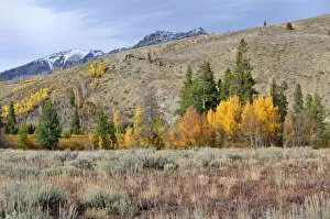 Images Dated 19th October 2011: Boulder Mountain, Highway 75, Ketchum, Idaho, USA