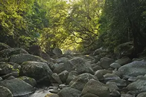 Daintree River National Park Prints: Boulders in Mossman Gorge