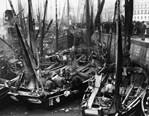Landscape Male Collection Prints: Boulogne Masts