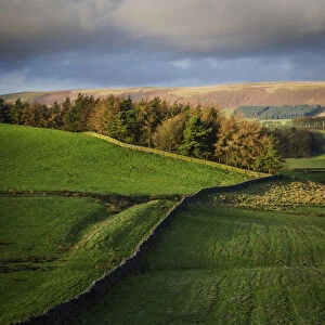 Images Dated 29th December 2015: Bowland landscape abstract, Lancashire, UK