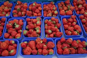 Images Dated 14th May 2011: Bowls with strawberries on the market