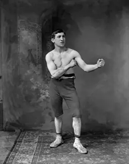Boxer