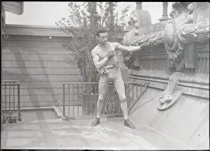 Boxer in Boxing Pose