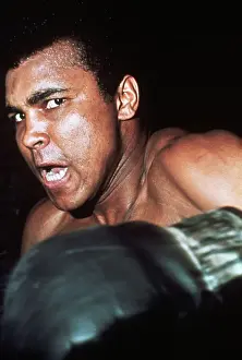 Ferocity Prints: Boxer Muhammad Ali