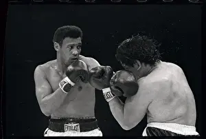 Louisville Prints: Boxers in Action