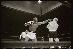Boxers in Action