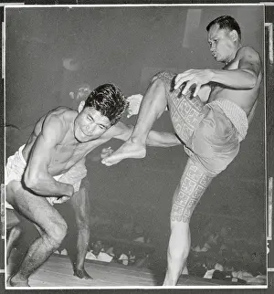 Boxers in Action