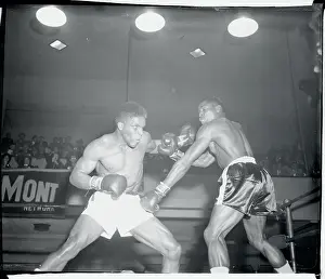 Boxers in Action Fight