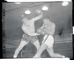 Boxers in Action in the Ring