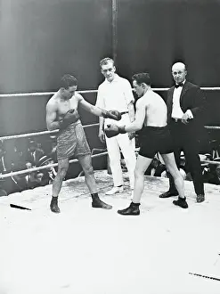 Boxers in Corner Action