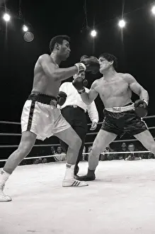 Louisville Prints: Boxers Fighting in the Ring