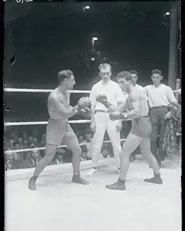 Boxers and Referee