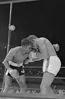 Boxing Favorites in Action