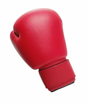 Images Dated 19th January 2010: Boxing glove